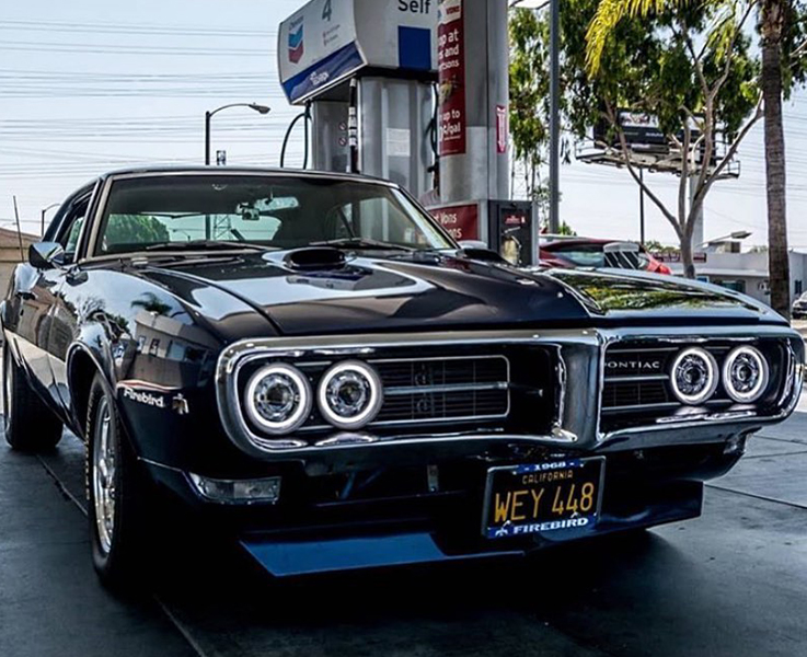firebird halo headlights